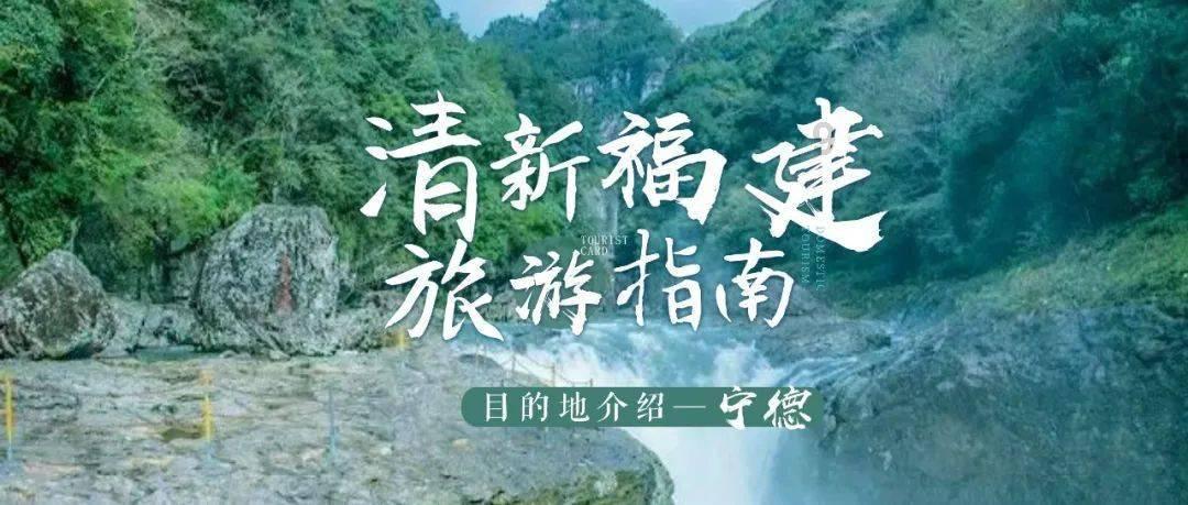 拯救卡通獾
