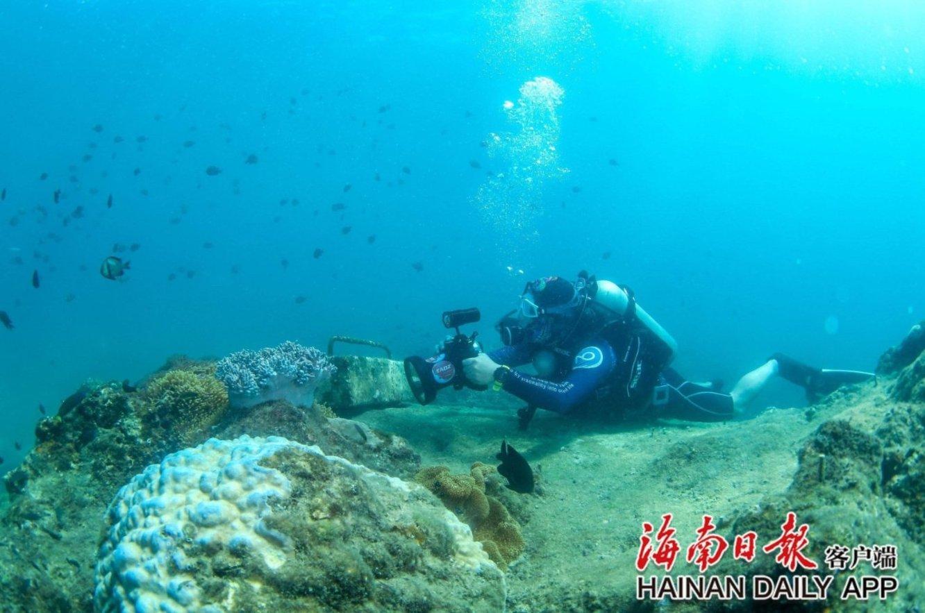 逃离比利部落小屋